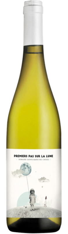 Premiers pas sur la Lune